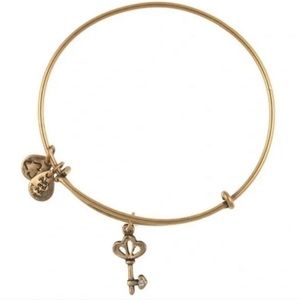 Alex and Ani Skeleton Key Charm Bangle